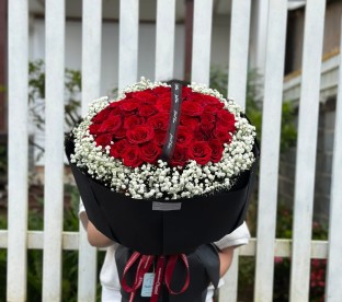 HB02